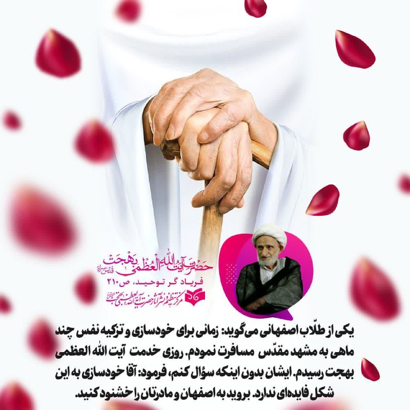 ***🌱******🌺*** **فرارسیدن سالروز ولادت پرنور و …