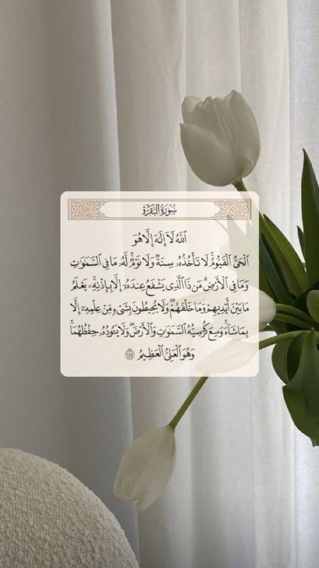 ترتيب ونظافة وتنظيم وسنع