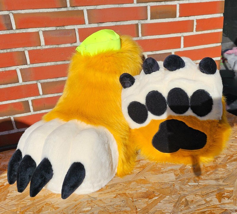 Finish feetpaws for mindo!***🐾******🙌***