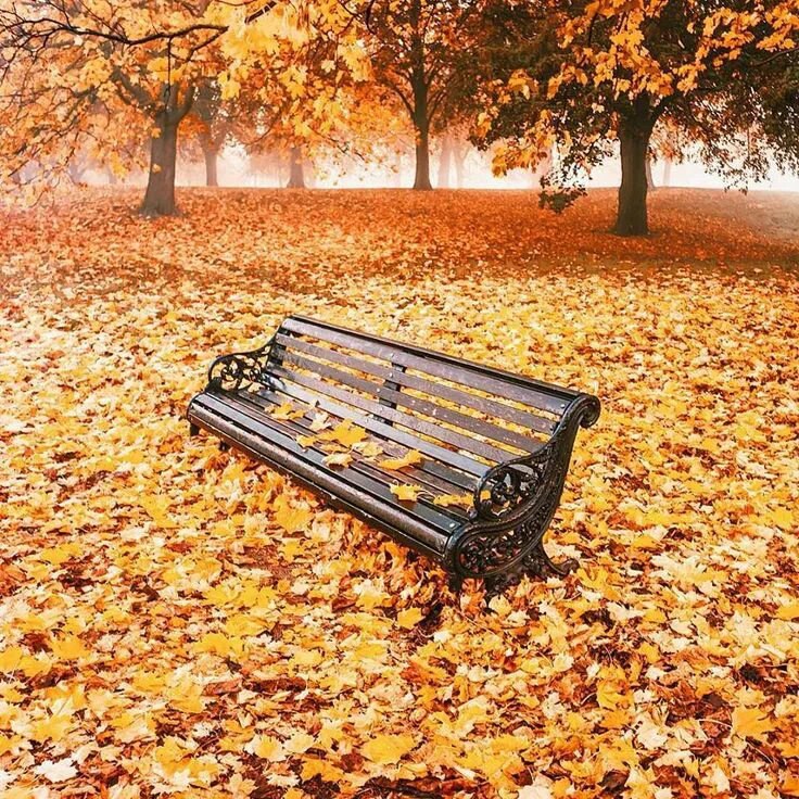 پاییزەن و باخێوە سەدٚ ئننە گەڵا …