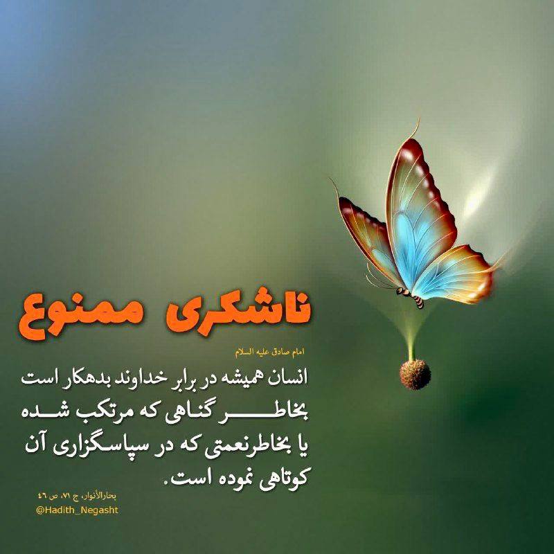 ۞﴾﷽﴿۞