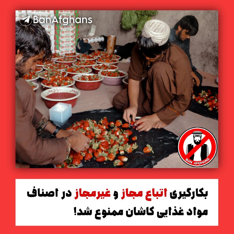 ***?*** **بکارگیری اتباع مجاز و غیرمجاز …