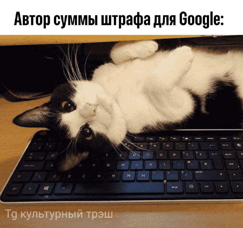 [Суд в России требуют от Google …