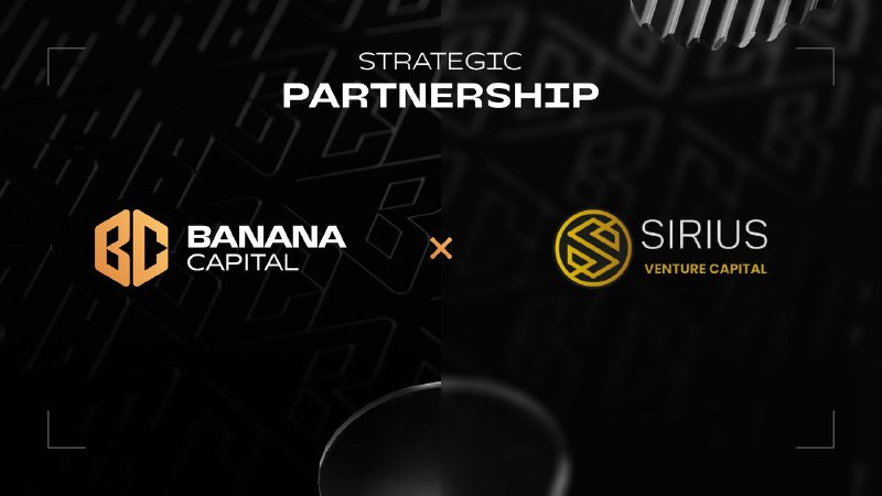 *****🤝***** **Strategic Partnership: Sirius Ventures**