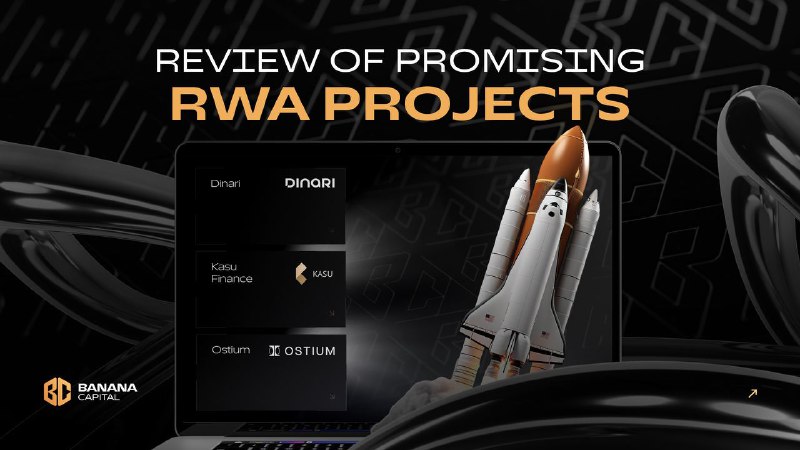 ***🖥*** **Review of Promising RWA Projects**