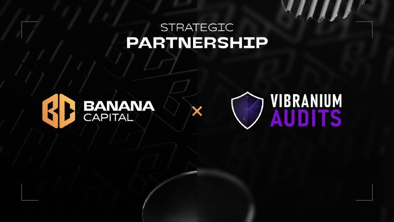 ***🤝*** **Strategic Partnership: Vibranium Audits**