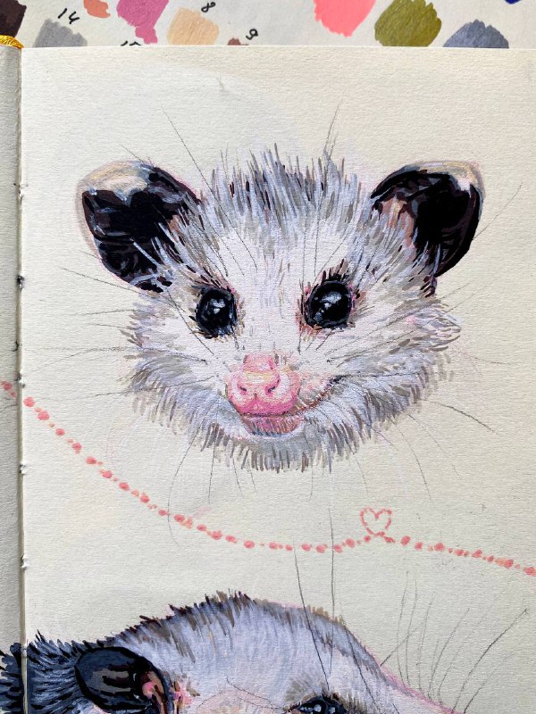 bananaopossum