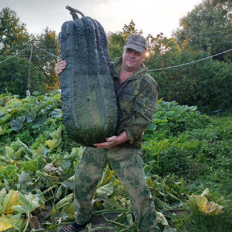 ***🍆*** Житель Подмосковья серийно бьет кабачковые …