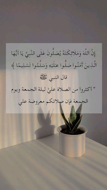شيءٌ لروحك والآخر لقلبك🤍.