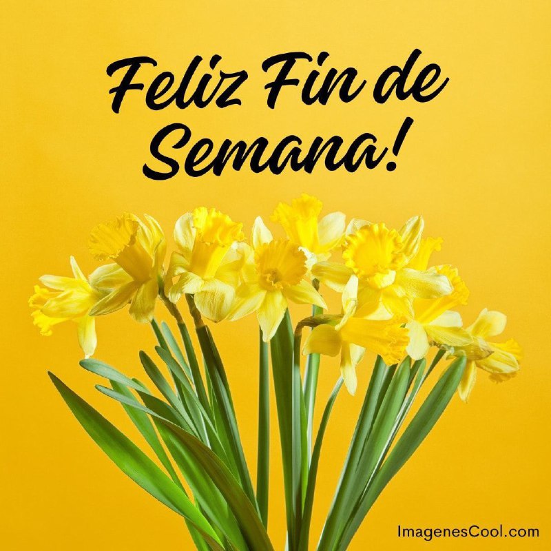 Feliz fin de semana en familia …