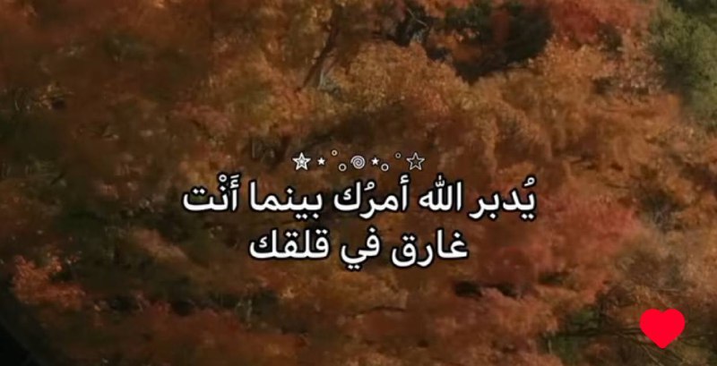 لاتقلق ***🦋***.