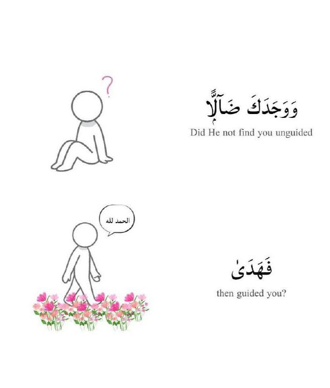 الحياة حلوة