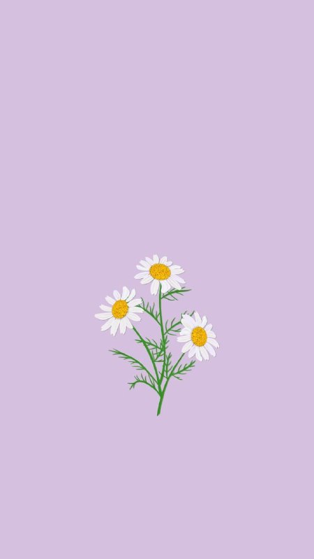 -Wallpaper ***?******?***