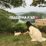 **ʚ♡ɞ Доброго летнего вечера! Представляю вам наилучшие каналы꒱***🐈******🐾*****