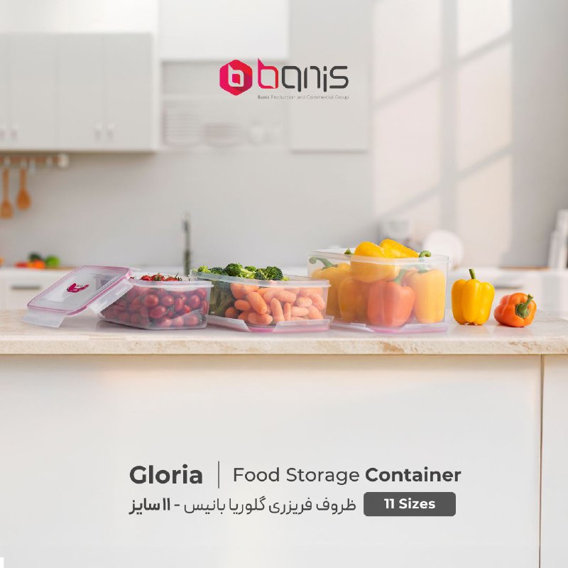 ***🔶*** Gloria Food Storage Container