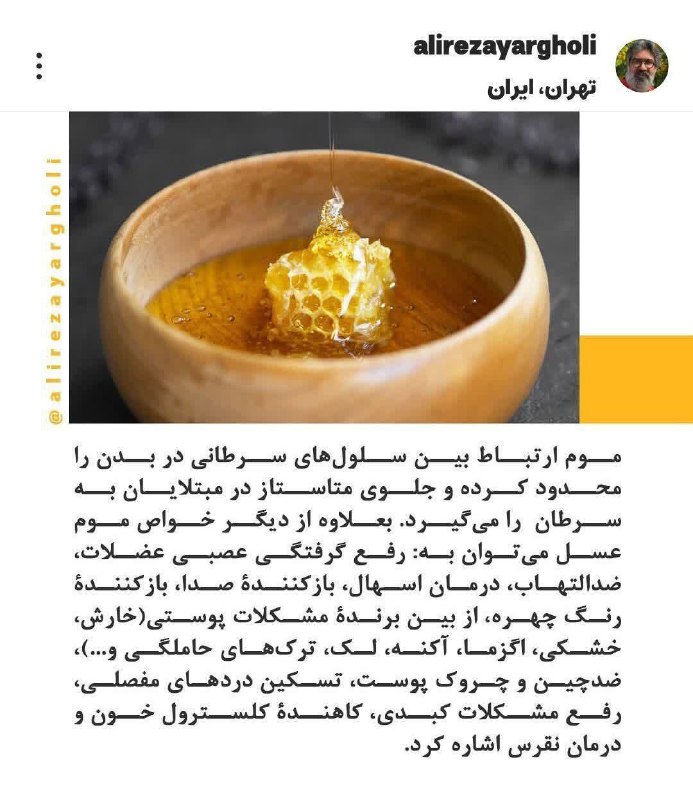 شرکت عســـــ🍯ـلِ بانوی عسل