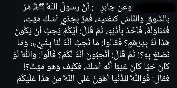 رَبْوةُ التَّدوين 🏕