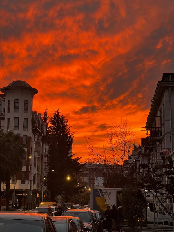 🇬🇪 BATUMI HOME 🇬🇪