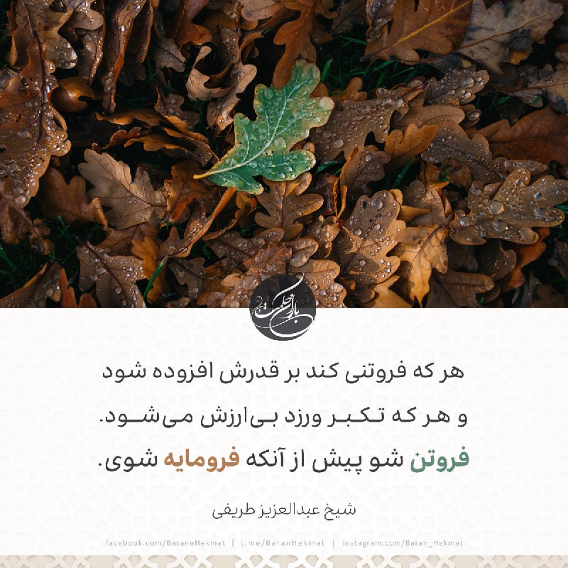هر که فروتنی کند بر قدرش …