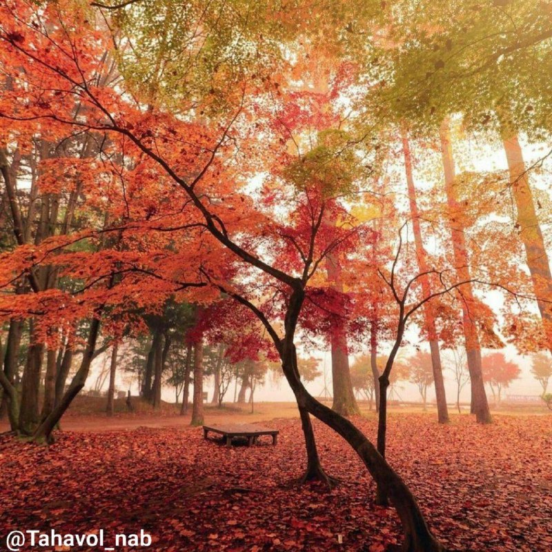 @BARBAMIRAN بربام ایران روی خط خوزستان …