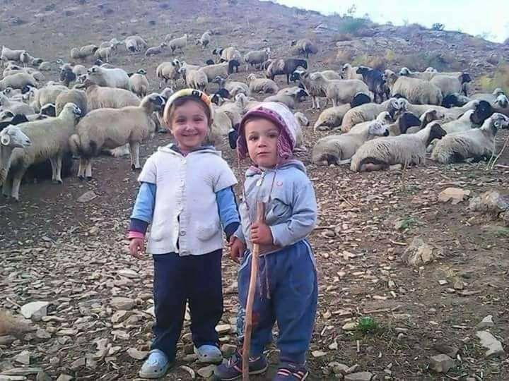 @BARBAMIRAN بربام ایران روی خط خوزستان …