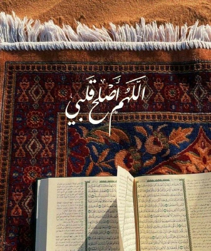 گلبرگ احساس?