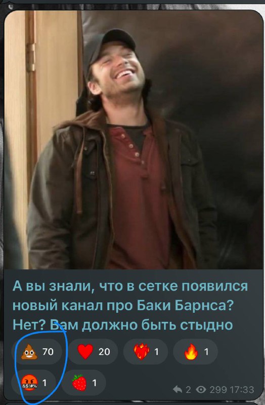 ***🪵******🪵******🪵******🪵******🪵******🪵******🪵******🪵******🪵***