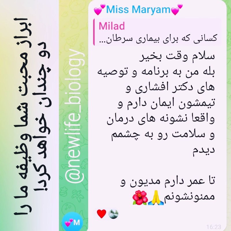 برترینها