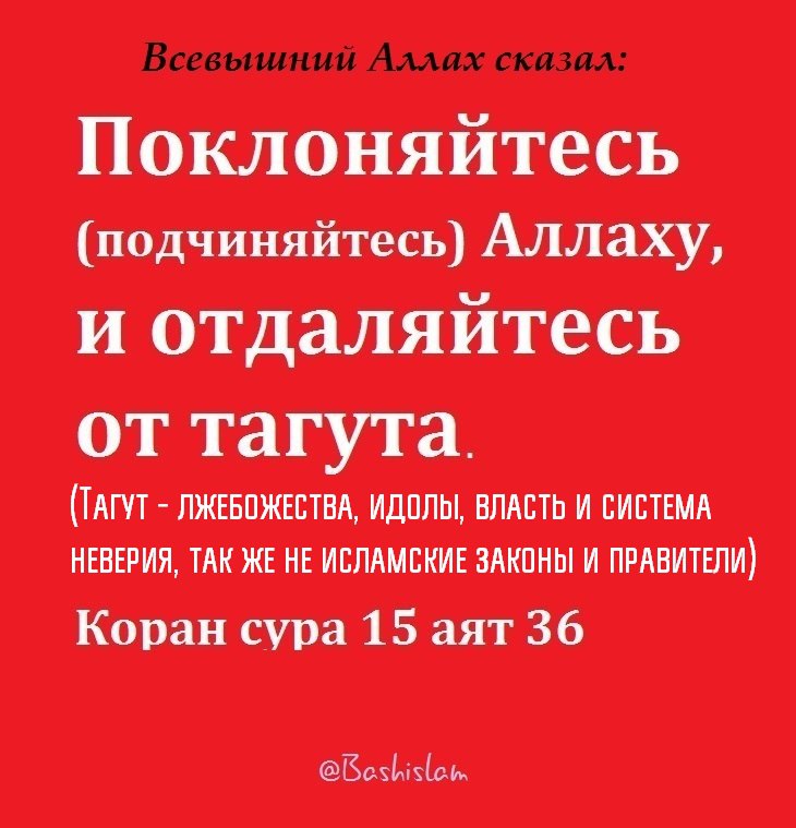 Остерегайся быть сторонником тагута и бороться …