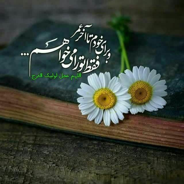 "**السݪام‌علیڪ‌یا‌بقیة‌اللہ**"