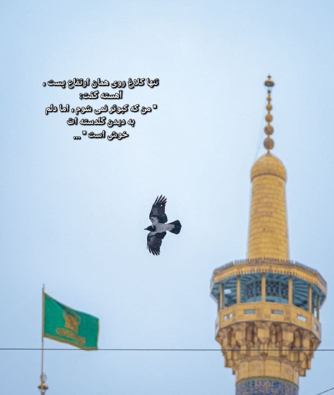 اما دلم به دیدن گلدسته ات …