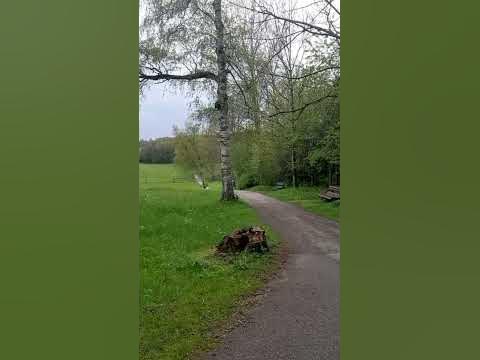 Kneippen - Bewegung in der Natur