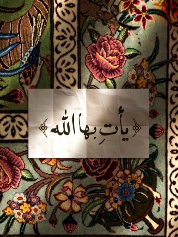﮼بسمه.