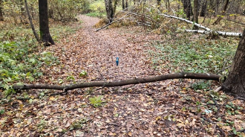 Даже когда устал, уходить нельзя. Надо …