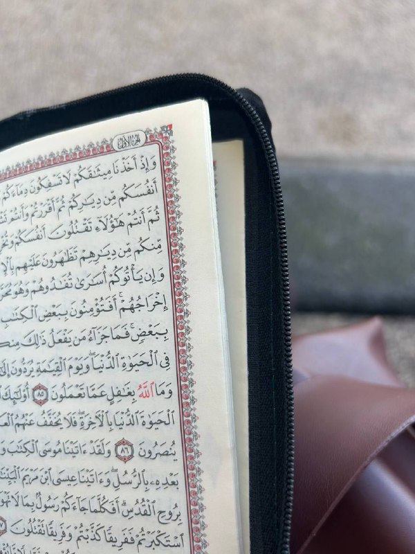 طَـــيـفٌ|🤎🌻•