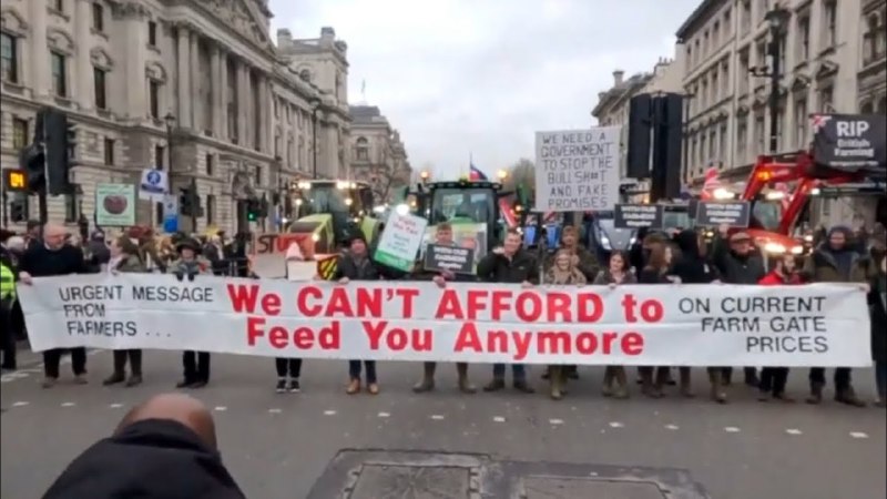 London Bauernprotest 11.12.2024 — Fernglas