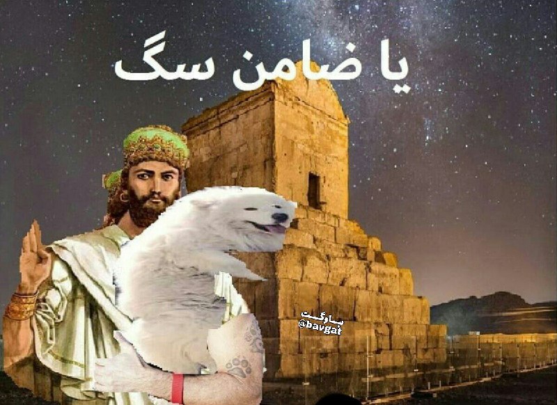 باوگت
