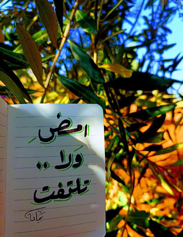 لن تبلغ مرادك