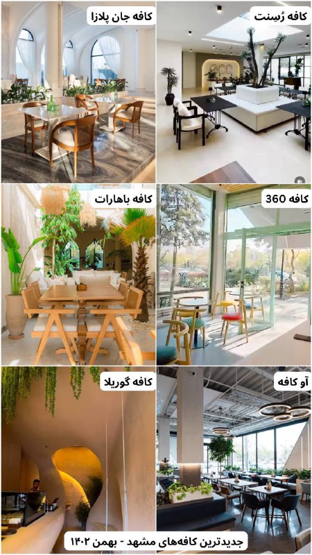 [#جدیدترین\_کافه‌های\_مشهد](?q=%23%D8%AC%D8%AF%DB%8C%D8%AF%D8%AA%D8%B1%DB%8C%D9%86_%DA%A9%D8%A7%D9%81%D9%87%E2%80%8C%D9%87%D8%A7%DB%8C_%D9%85%D8%B4%D9%87%D8%AF):