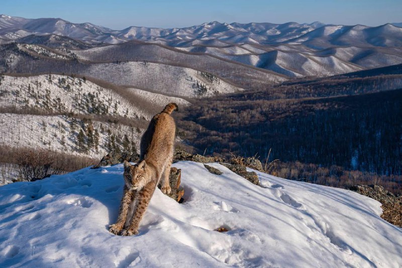 Российский фотограф Игорь Метельский победил в …