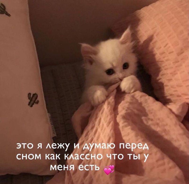 спокойной ночи ***😘***