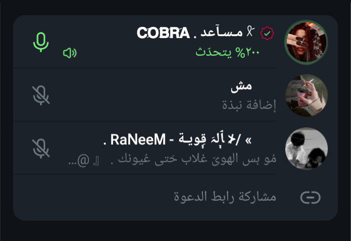 يُقال بأن الصديق ذراع ، أما …