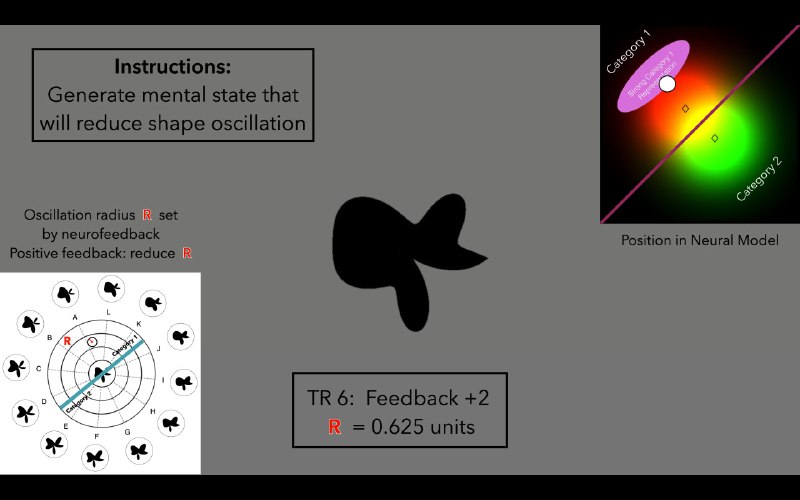 BCI - Brain Computer Interface, MRI, …