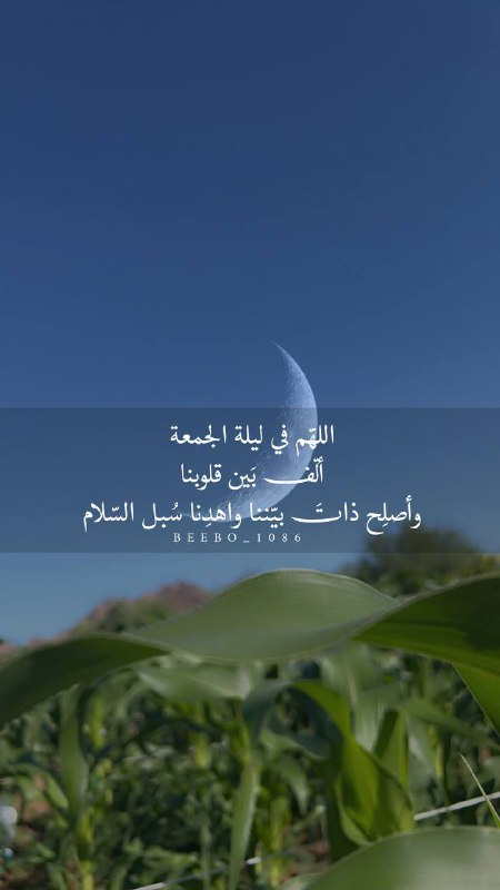 غيم وعصافير🕊🌧