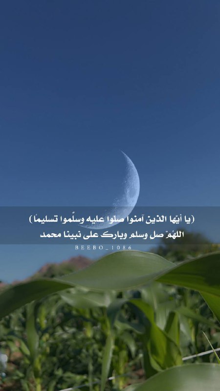غيم وعصافير🕊🌧