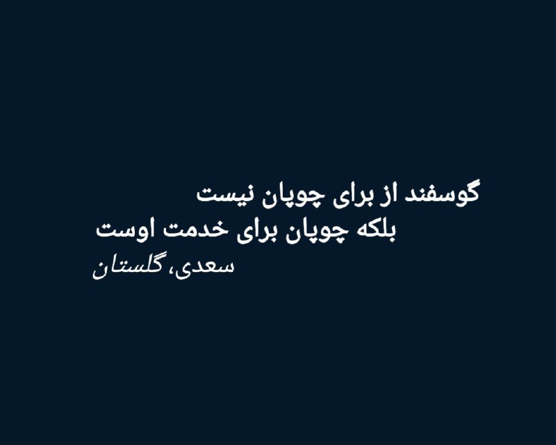 به افقِ شرجی
