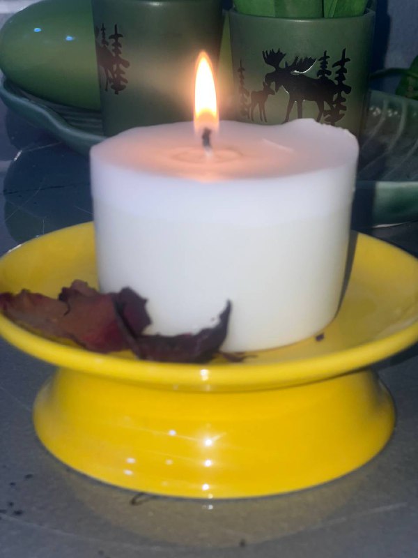 گـــەمژەیی مرۆڤ لەو كـــاتەدا دەرەكـــەوێ ...