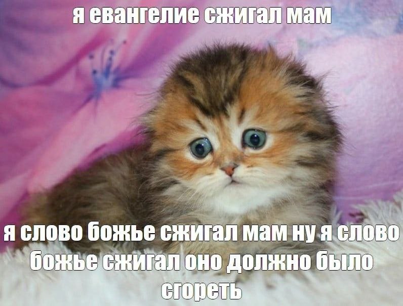 БЕГЕМОТ С АРБУЗАМИ