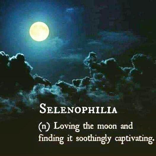 Guess I'm a selenophile***🤭******😋******🌝******🌙***