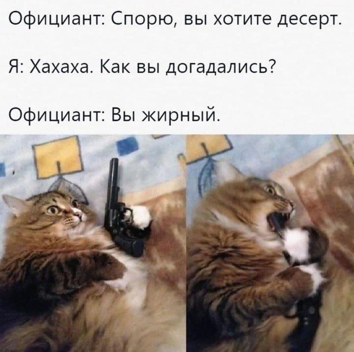 belKa's memes